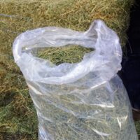 Lucerne in Bags 10kg R/10