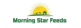 Morning Star Feeds